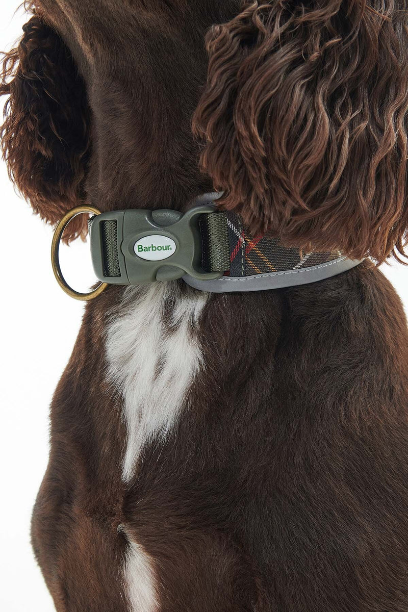 Reflective Tartan Comfort Collar