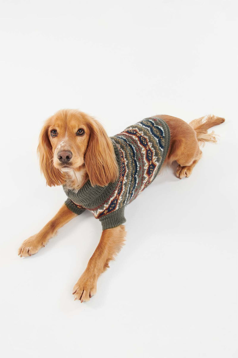 Case Fairisle Dog Jumper