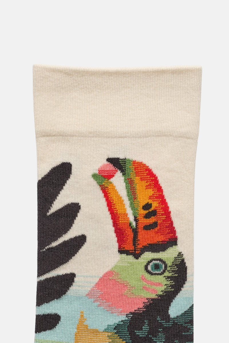 Toucan Socks