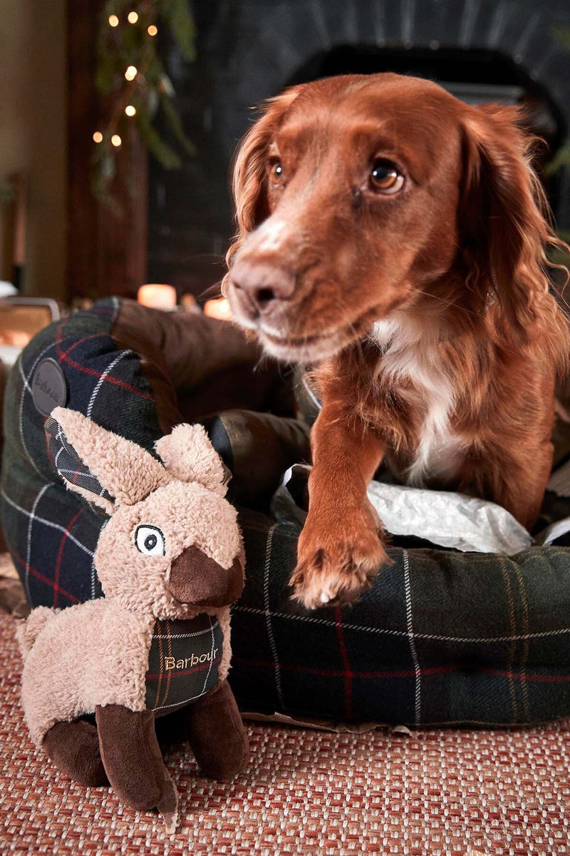 Dog Toy Rabbit