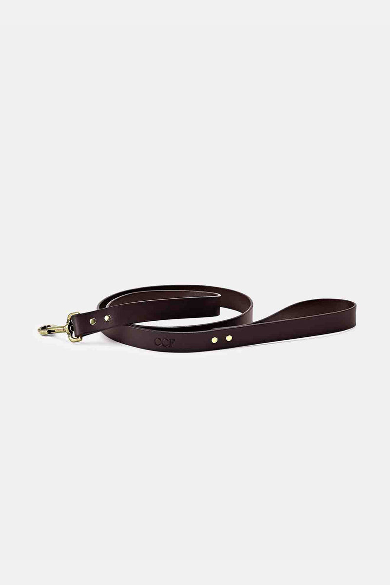 BRIDLE LEATHER DOG LEASH